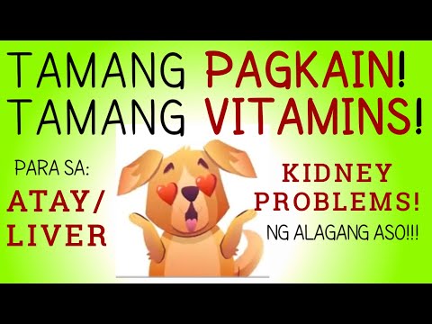 Video: Mga Toxin Sa Atay Sa Mga Aso