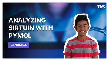 Analyzing the Structure of Sirtuin with PyMol