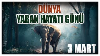 3 MART DÜNYA YABAN HAYATI GÜNÜ ( VAHŞİ HAYAT )