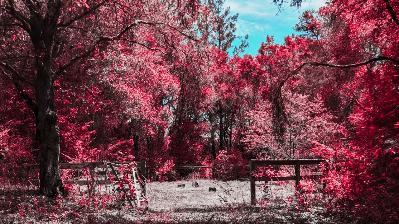 I Am So Happy Because Everybody Loves Me (Instrumental Demo)