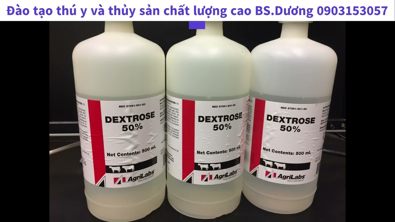 Truyền dịch trong lâm sàng thú y chiến lược cứu sống vật nuôi
