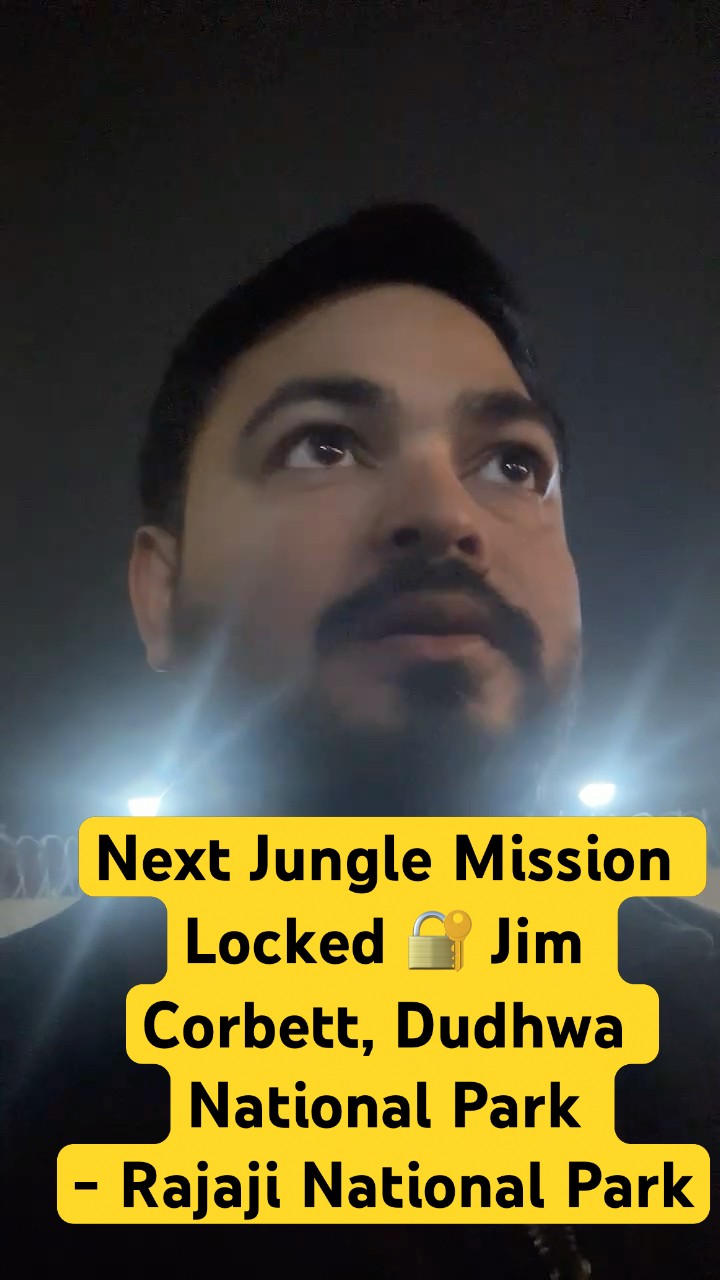 Jim Corbett की Power vs Dudhwa की Mystery – कौन जीतेगा? 🐅🔥 #NextSafari #JungleSeason