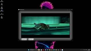 Kino Live Stream