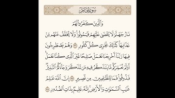 والذين كفروا لهم نار جهنم لا يقضى عليهم فيموتوا .. تلاوة مؤثرة للشيخ محمد زاهر البارقي