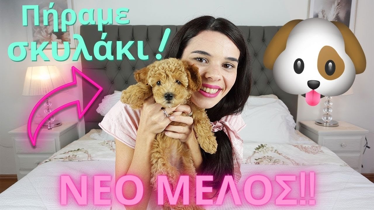 Νέο μέλος στην οικογένεια μας | Sophia Stam