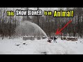 SAVAGE SnowBlower MODz | 112 Jet UPGRADE | Heavy WET Snow TEST | Honda HSS1332ATD Track Drive