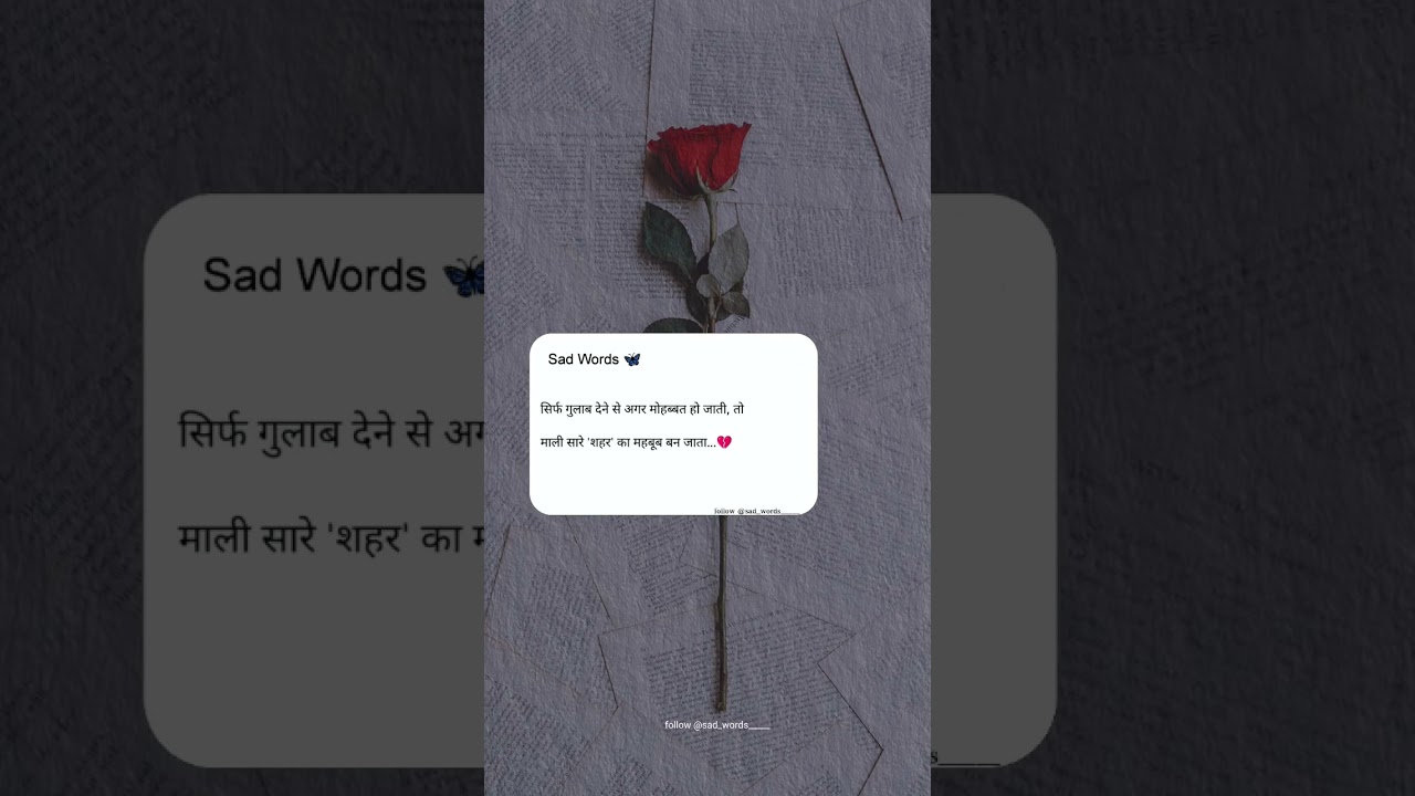 Rose day || Quotes 🥀     