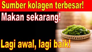 Selamat Tinggal Tangan Sakit Mencucuk & Kaki Lemah! 8 Sayur Kaya Kolagen Wajib Makan!