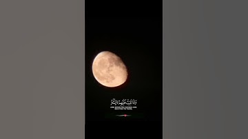 الذين اذا ذكر الله وجلت قلوبهم | محمد صديق المنشاوي | سوره الحج