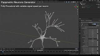 Procedural Neurons Generator Tool