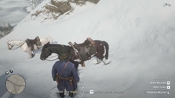 Ultimate Beginners Guide To Success in RED DEAD REDEMPTION 2