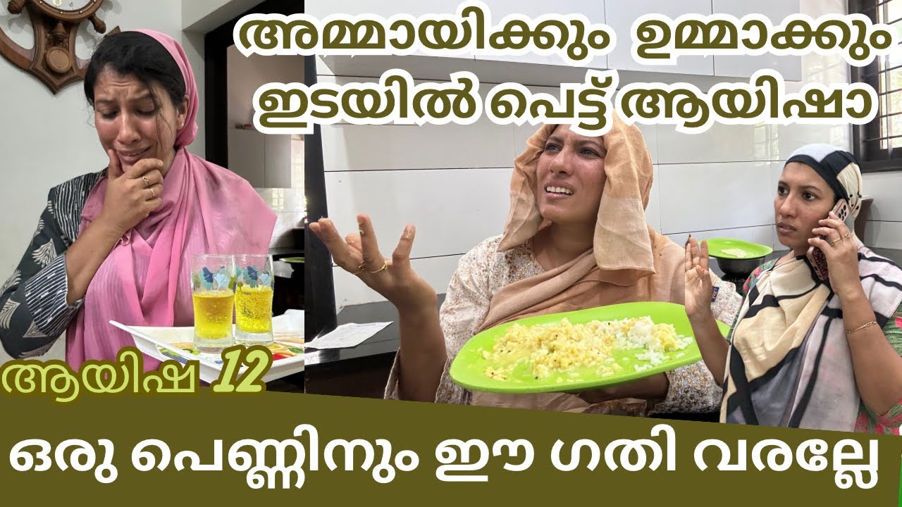 അയ്ഷയുടെ കാര്യത്തിൽ അമ്മായി എടുത്ത തീരുമാനം /@jaibusworld /#familystory #skit #love