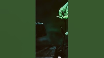 سورة الزمر اية(٢٢-٢٣)
