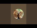 The Caged Lion is live!