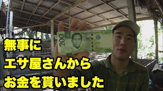 【Finally】I got the money for the four pigs that shipped a week ago screenshot 5