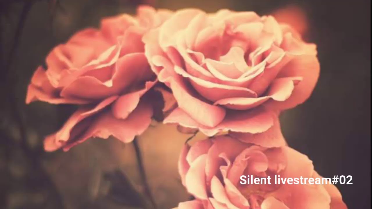 Silent muna bago matulog| Pasok sa mga gising pa diyan