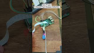 AI Based Plant Disease Detection Tomato Disease Detection using Raspberry pi