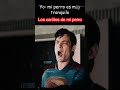 son los cariñitos :3 #memes #humor #xd #luthor #kripto #superman #superman2025 #perros