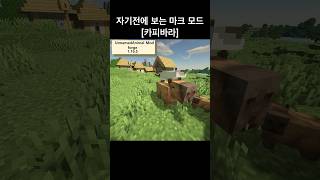 자기전에 보는 마크 모드 [카피바라] #모드 #마인크래프트