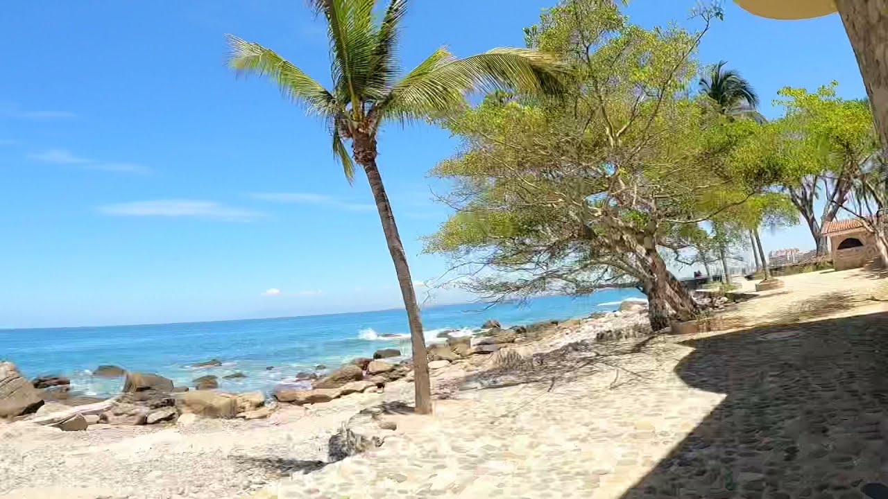 Beautiful Conchas Chinas Puerto Vallarta 🤩