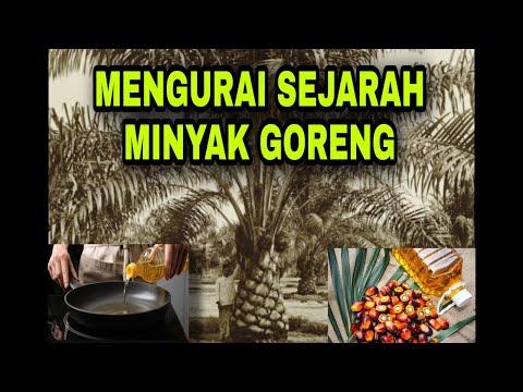 Video: Investasi sosial. Investasi sosial sebagai elemen tanggung jawab sosial bisnis