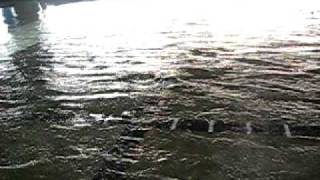 Oregon State University Tsunami Wave Lab 12pm Wave 4