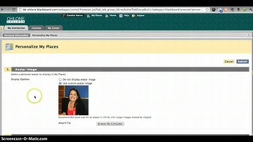 How to Upload a Profile Photo to Blackboard