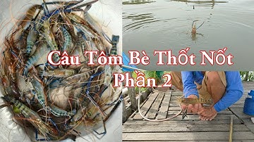 Thành quả chuyến Câu Tôm Bè Thốt Nốt và đi bán tôm Phần 2