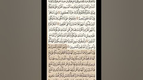 حفظ و تكرار سورة البقرة صفحة 30 - 10 مرات - الشيخ ماهر المعيقلي