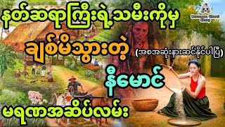 နီမောင်နှင့် နတ်ဆရာသမီးချောလေးတို့ရဲ့မရဏအဆိပ်လမ်း (အစအဆုံး)