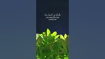 فانزلنا مِنَ السَّمَاءِ مَاءً |سورة الحجر |هزاع البلوشي