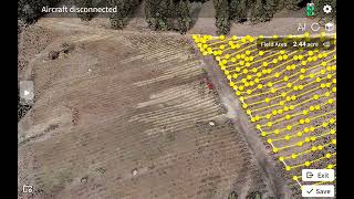 T100 Fruit Tree/Orchard Mapping Along Slopes
