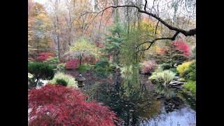 Mystical Autumn, The Photos, by c.Susan Perz, See www.susanperz.smugmug.com to order.