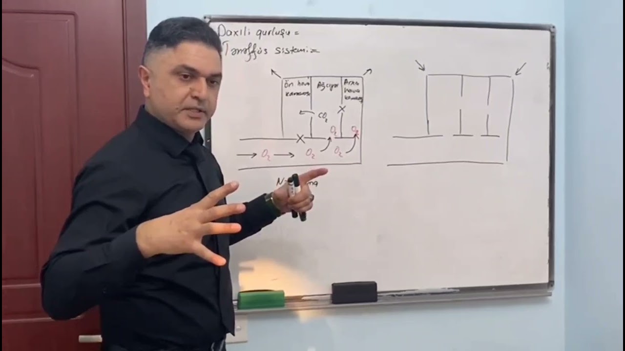 Quşlarda ikiqat tənəffüs.                                   #keşfet #fyp #biology #biologia