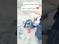 اخبار شبوه سود الله وجيههم شبوة اليمن باحاج مشاهير اكسبلور حضرموت