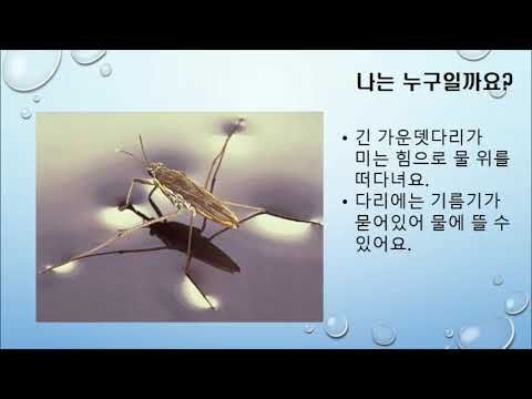 [여름] 물가에 사는 친구를 만나요(고화질)