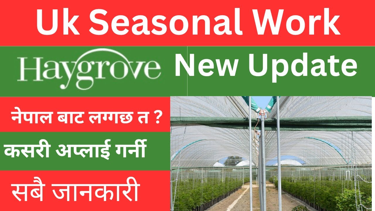 Haygrove को नया update uk seasonal work visa 2023 nepal new update how to apply uk seasonal