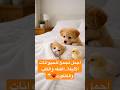 فيديو سيجعلك تبتسم رغما عنك كائنات لطيفة تحت الغطاء حيوانات لطيفة صداقة الحيوانات كيوت Fyp