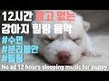 12시간(광고없는) 강아지음악 분리불안 편한하게 도와주는 수면,힐링 음악 #강아지음악#분리불안#힐링음악 healing music for dog