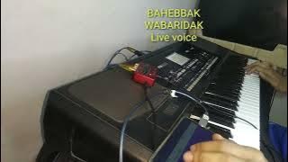 Bikin Adem merdu BAHEBBAK WABARIDAK!!