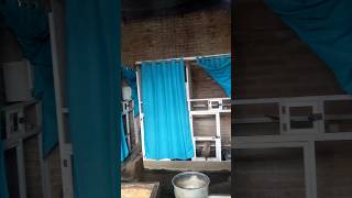 peternakan murai #muraibatu #peternakanmurai #peternakan #kicaumania #story #status