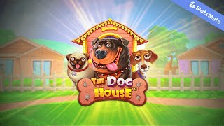 The Dog House Slot by Pragmatic Play (Desktop View)