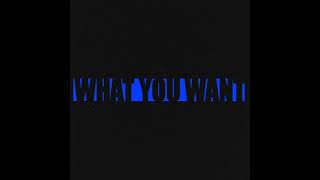Vincent Mason - What You Want (SLOWED + REVERB)