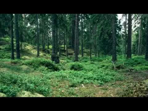 გალაქტიონ ტაბიძე ქარი ქრის