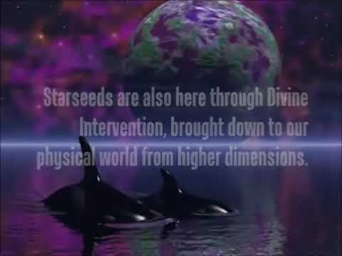 星际种子 The Star Seeded Souls