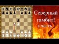 Шахматы дебюты. Северный гамбит! (1 часть)