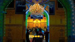 Imam Reza Shrine ✨ Magical Night View | باب الرضا ❤️#shorts