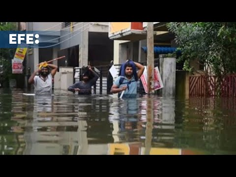 El ciclón Michaung deja ya 8 muertos en el este de la India  (V)
