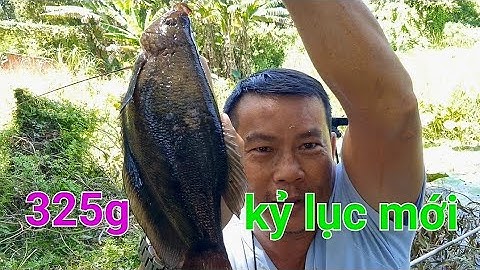 câu cá sặc rằn,băng rừng lội suối tìm KỶ LỤC mới tại điểm câu hoang dã