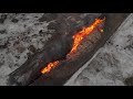 Дачный видео ёжик 14 Не выдержала душа поэта Дачный видео ёжик 14 Не выдержала душа поэта